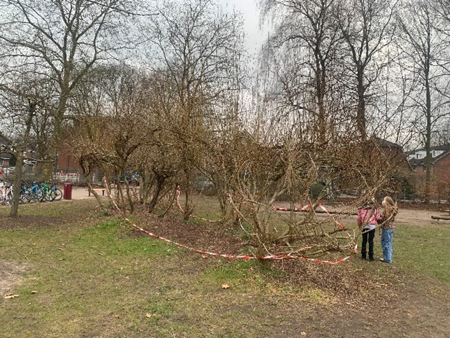 Weidentunnel vor der Sanierung