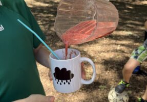 🍓 Smoothie-Party im Englischunterricht 🍌